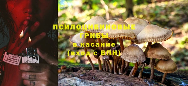 трава Абаза
