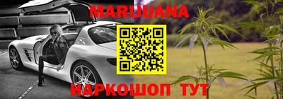 прущие грибы Новодвинск