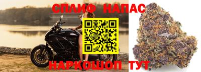 COCAINE Новозыбков