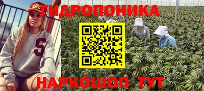 прущие грибы Новодвинск