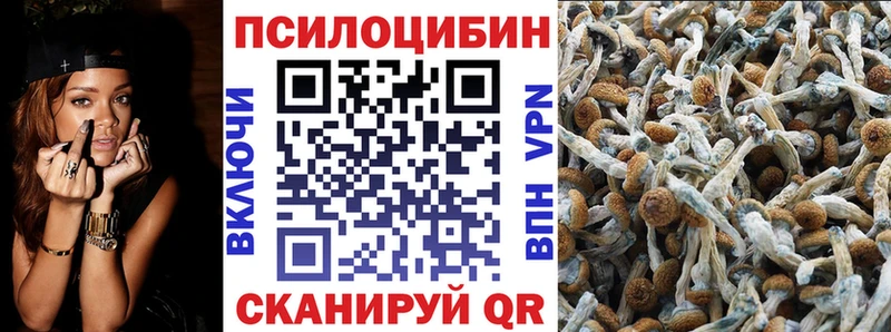Псилоцибиновые грибы мицелий  сколько стоит  Ханты-Мансийск 