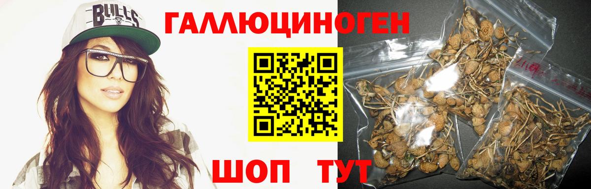 Ханты-Мансийск  Псилоцибиновые грибы ЛСД  Вход с VPN  Галлюциногенные грибы Cubensis 